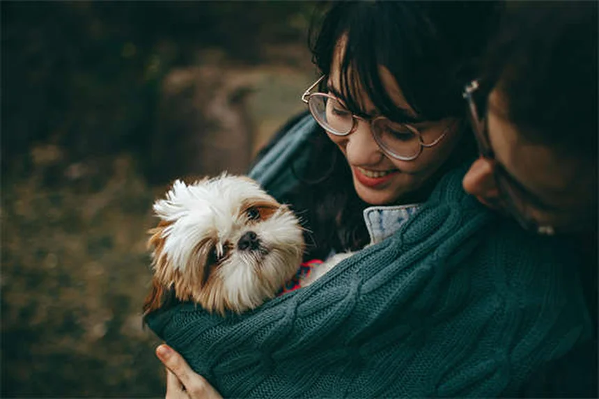 犬のNG行動7選｜愛犬が嫌がる飼い主の習慣と改善策